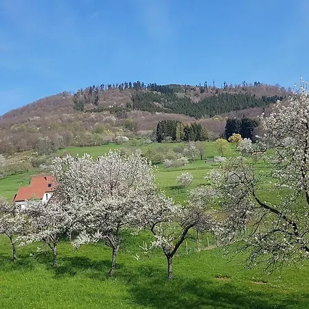 Tatil Evi Haus Vosges In By Interhome *