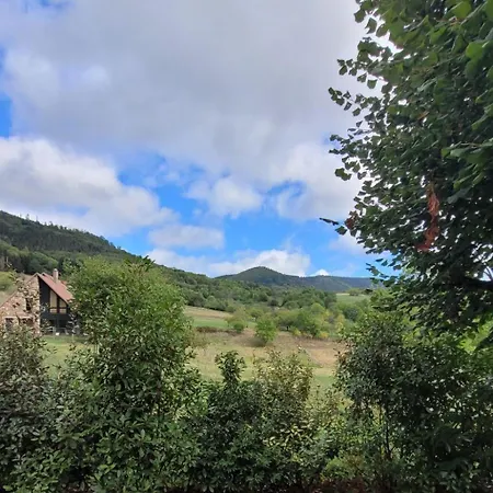 Haus Vosges In By Interhome Tatil Evi *
